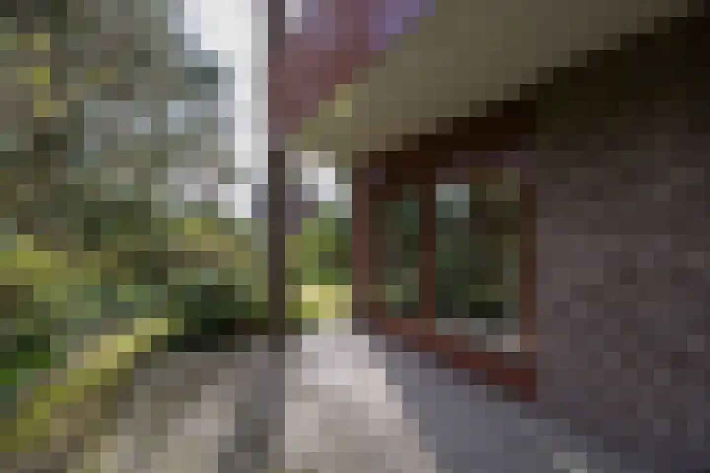 Aristoteleslaan 2 Zeist thumbnail 70