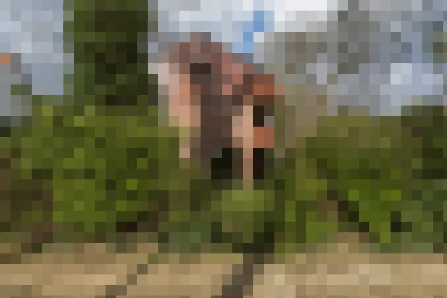 Aristoteleslaan 2 Zeist thumbnail 71