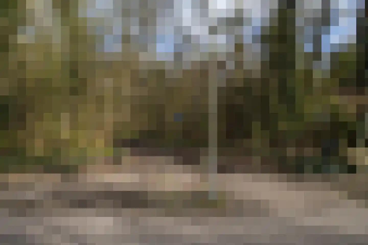 Aristoteleslaan 2 Zeist thumbnail 74