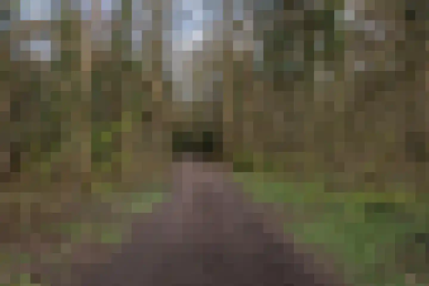 Aristoteleslaan 2 Zeist thumbnail 75