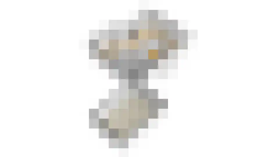 Aristoteleslaan 2 Zeist thumbnail 81