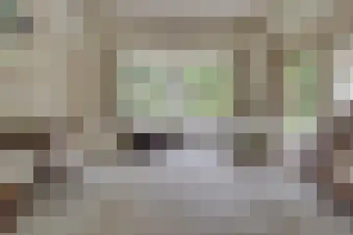 Aristoteleslaan 29 Zeist thumbnail 10