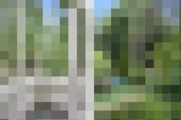 Aristoteleslaan 29 Zeist thumbnail 21