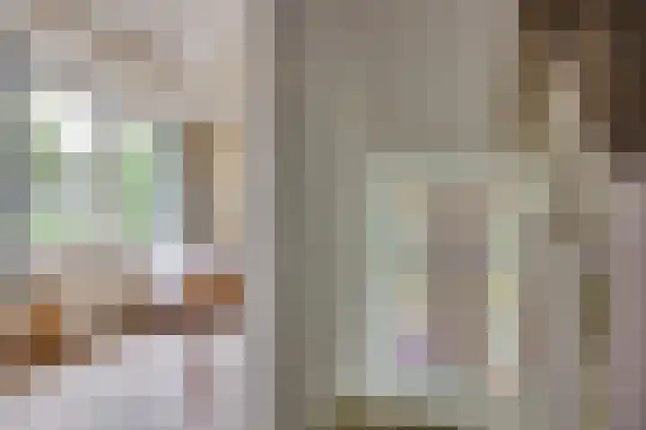 Aristoteleslaan 29 Zeist thumbnail 25