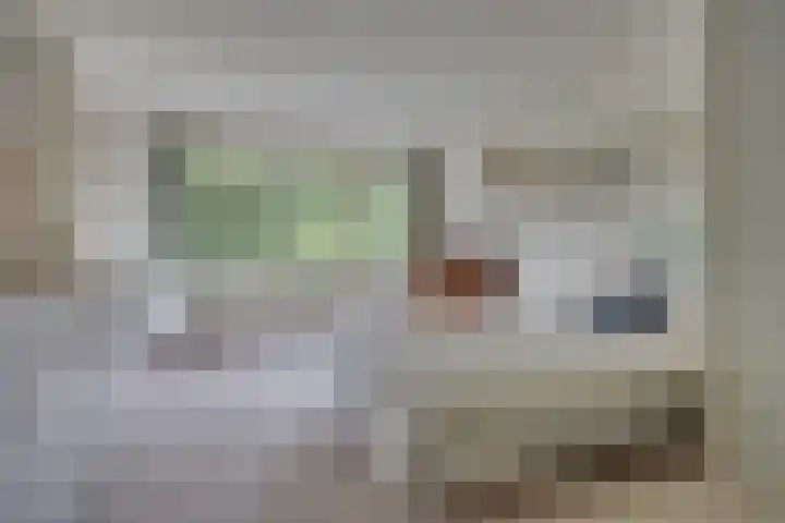 Aristoteleslaan 29 Zeist thumbnail 27