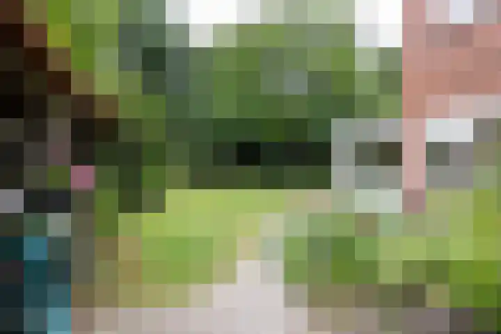 Aristoteleslaan 29 Zeist thumbnail 39