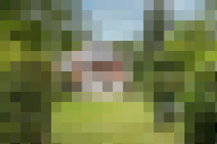 Aristoteleslaan 29 Zeist thumbnail 4