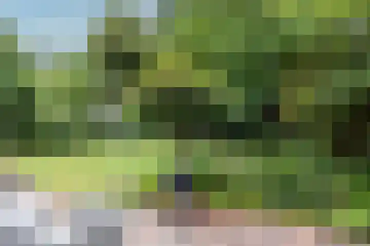 Aristoteleslaan 29 Zeist thumbnail 42