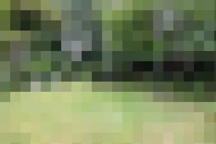Aristoteleslaan 29 Zeist thumbnail 43