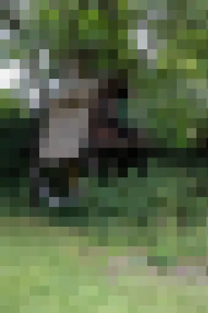 Aristoteleslaan 29 Zeist thumbnail 44