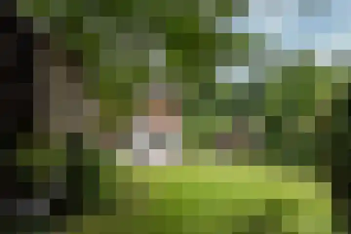 Aristoteleslaan 29 Zeist thumbnail 45
