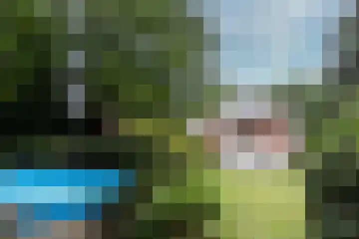 Aristoteleslaan 29 Zeist thumbnail 46