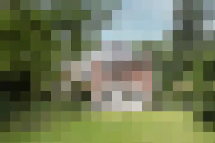 Aristoteleslaan 29 Zeist thumbnail 47