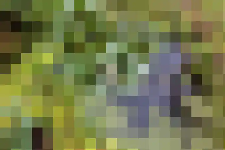 Aristoteleslaan 29 Zeist thumbnail 48