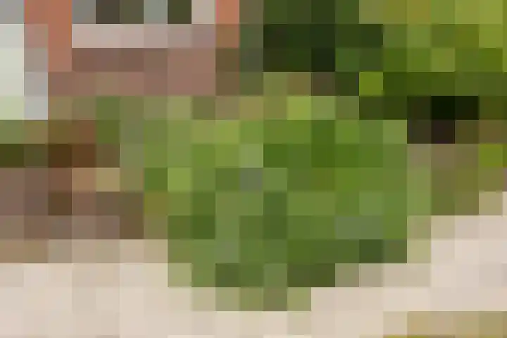 Aristoteleslaan 29 Zeist thumbnail 49