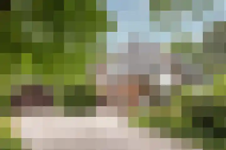 Aristoteleslaan 29 Zeist thumbnail 5