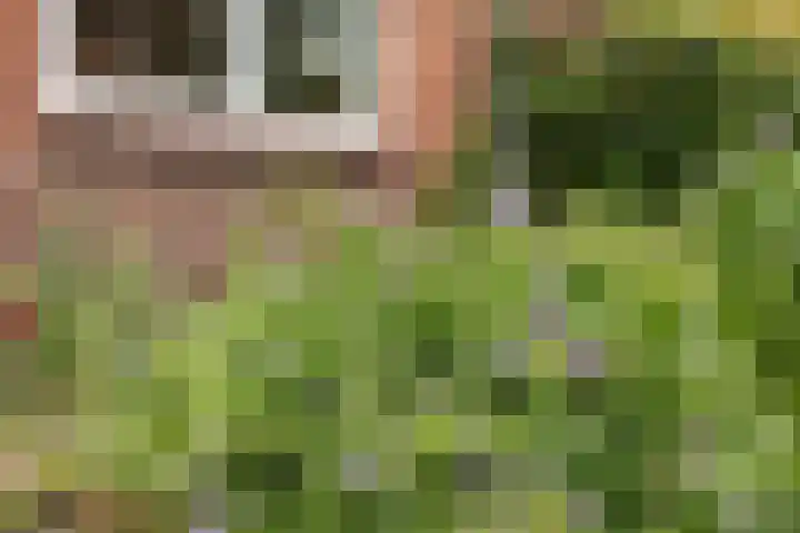 Aristoteleslaan 29 Zeist thumbnail 50