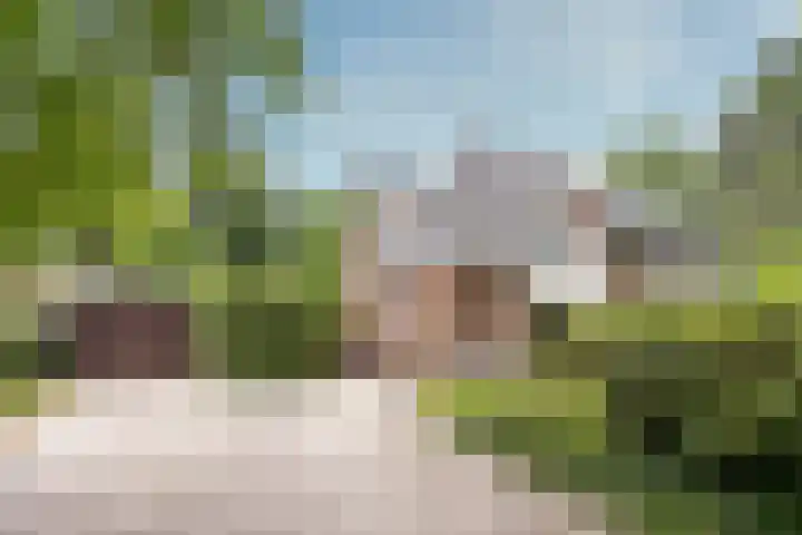 Aristoteleslaan 29 Zeist thumbnail 6