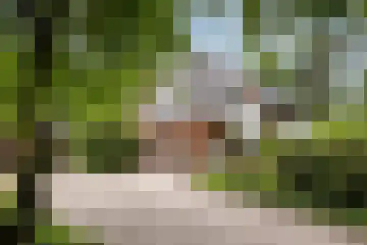 Aristoteleslaan 29 Zeist thumbnail 66