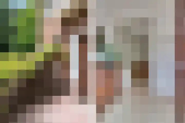 Aristoteleslaan 29 Zeist thumbnail 7