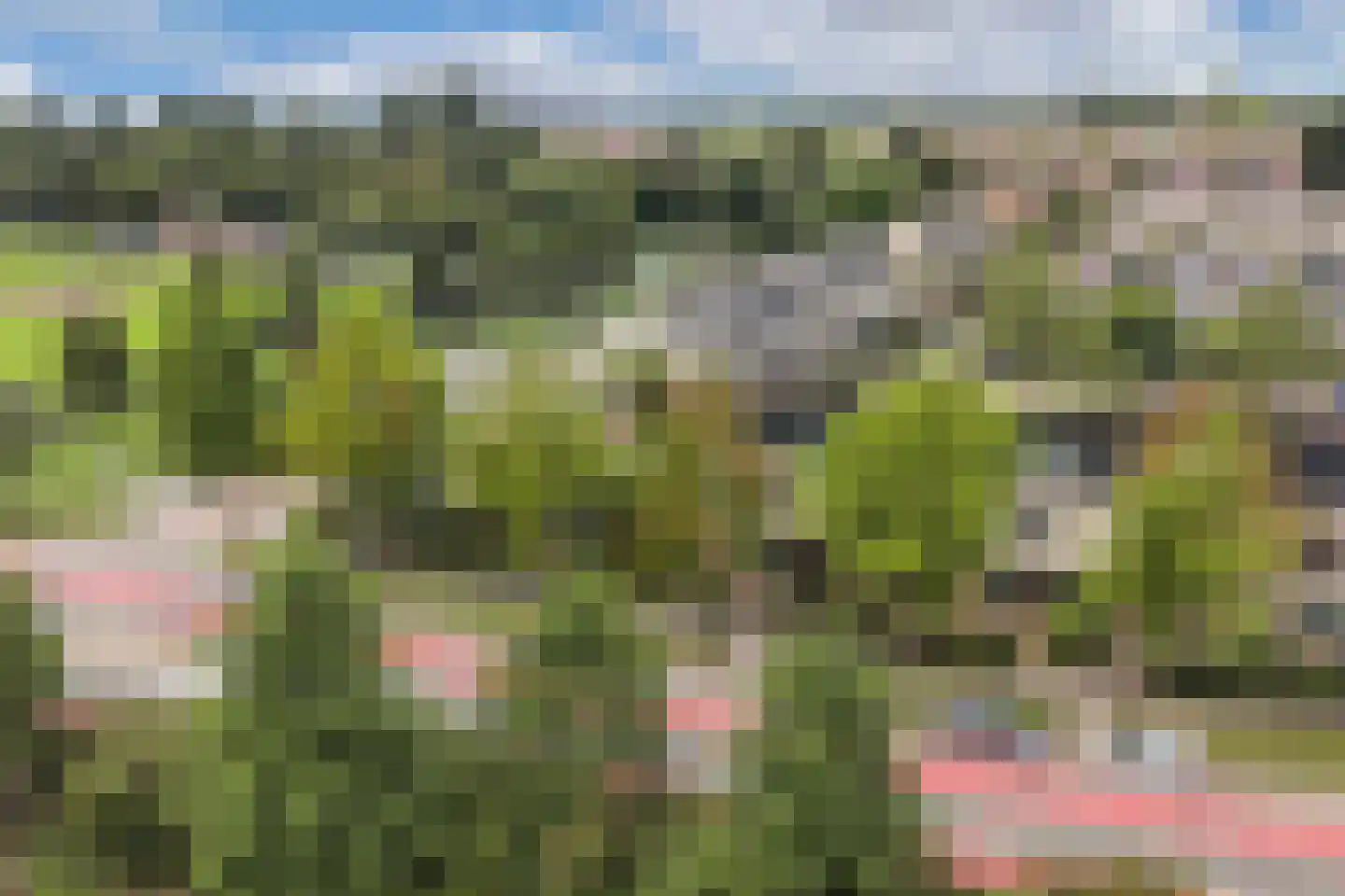 Aristoteleslaan 3 Huizen thumbnail 31