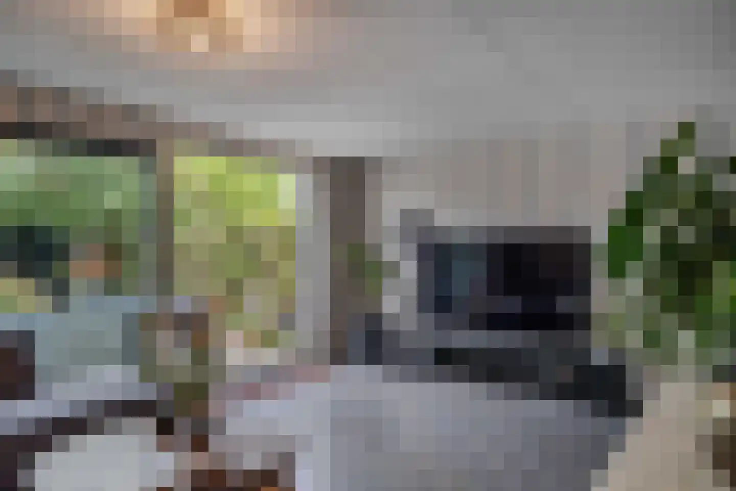 Aristoteleslaan 3 Huizen thumbnail 6