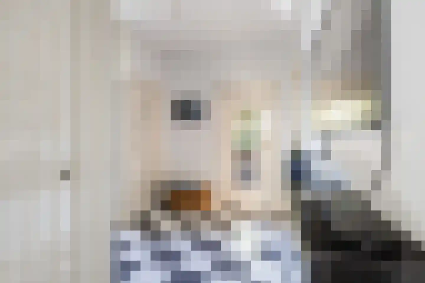 Aristoteleslaan 3 Zeist thumbnail 10