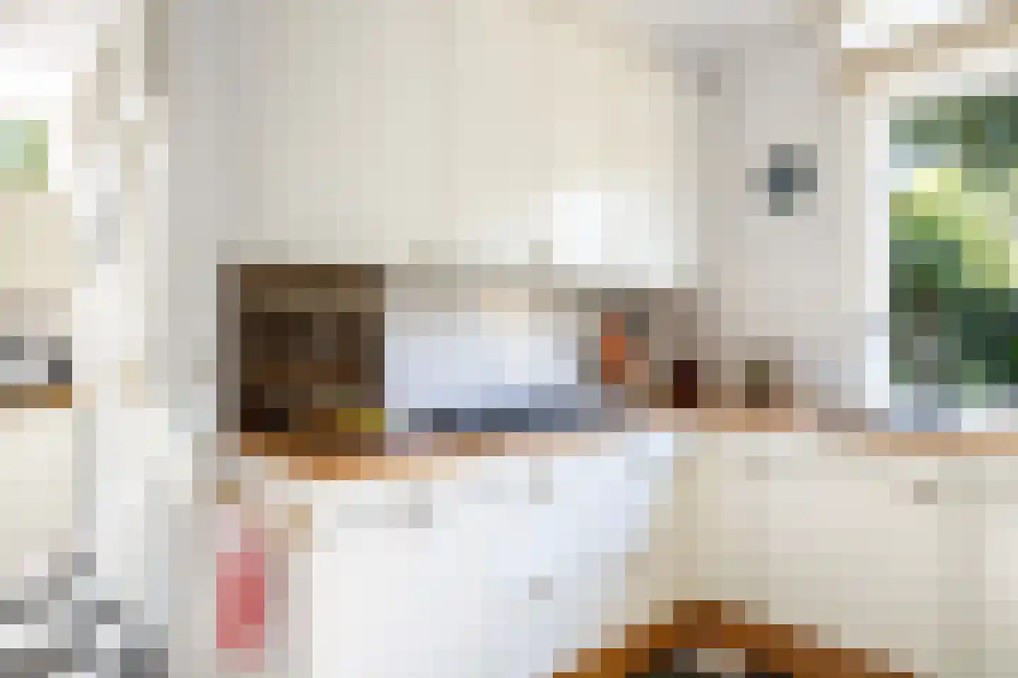 Aristoteleslaan 3 Zeist thumbnail 22
