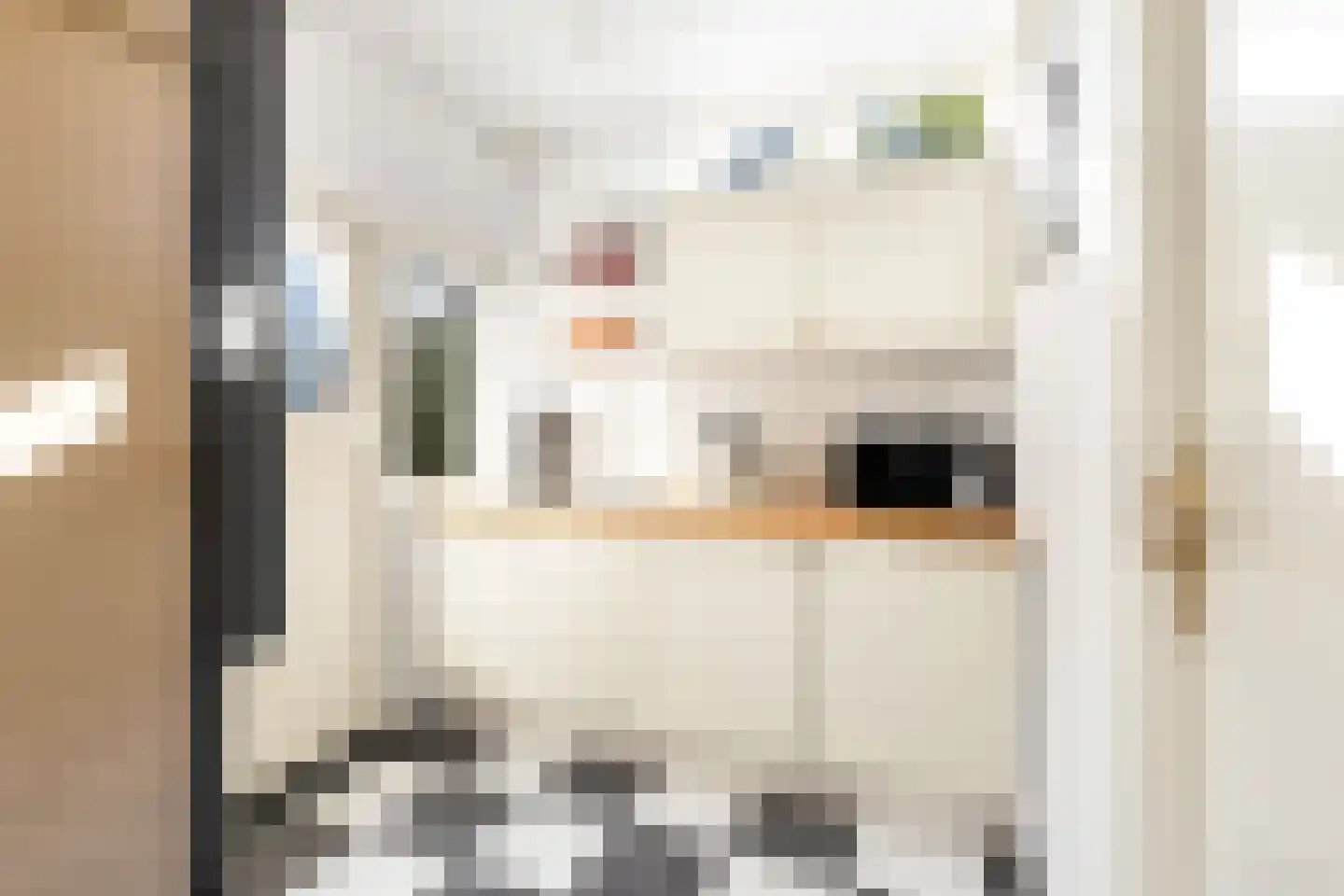 Aristoteleslaan 3 Zeist thumbnail 23
