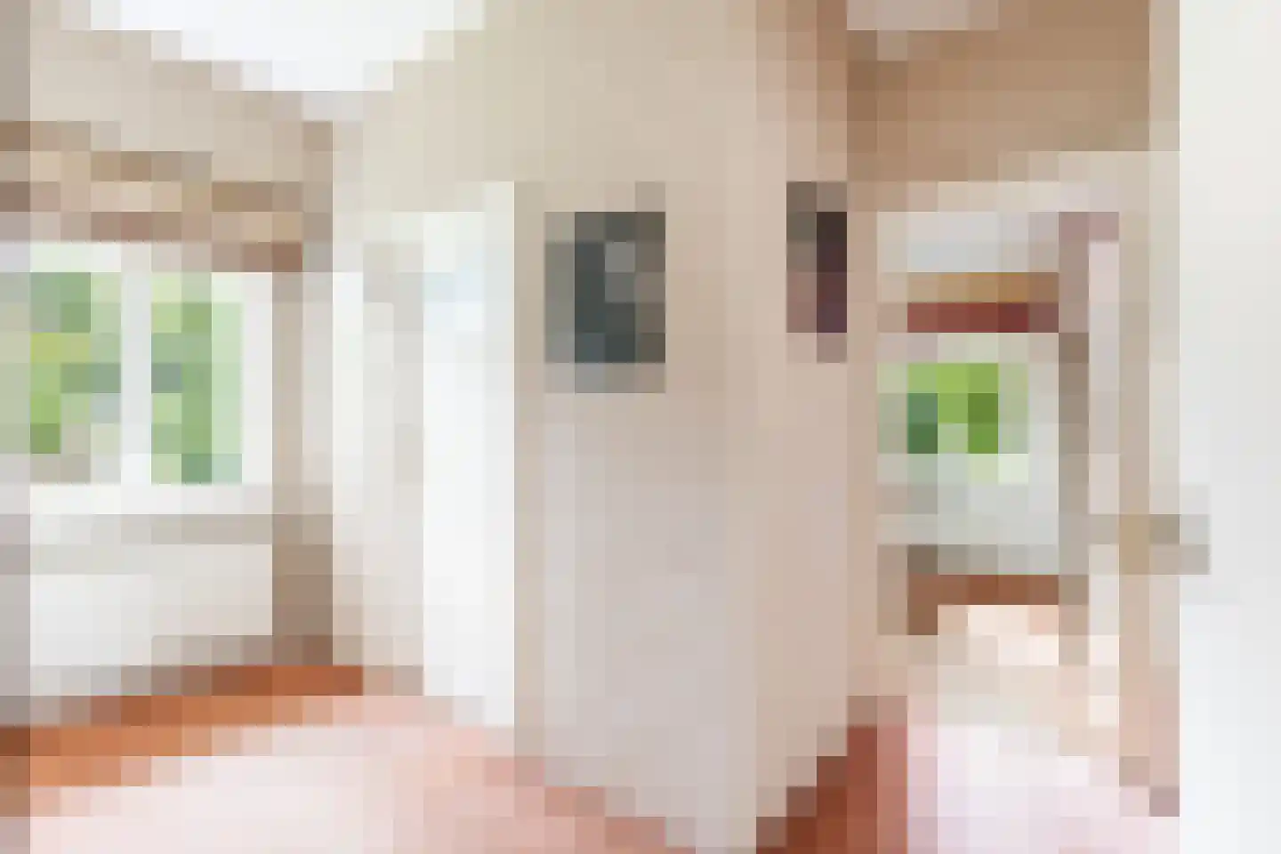 Aristoteleslaan 3 Zeist thumbnail 31