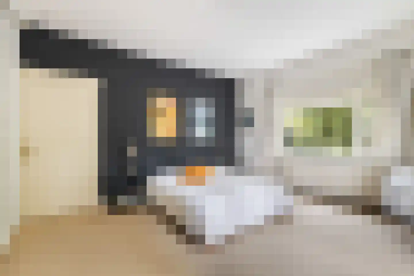 Aristoteleslaan 3 Zeist thumbnail 36