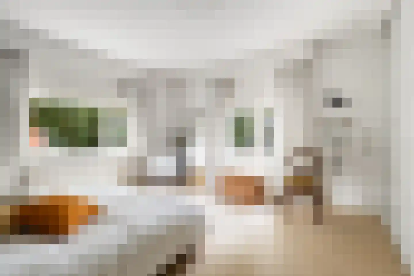 Aristoteleslaan 3 Zeist thumbnail 37
