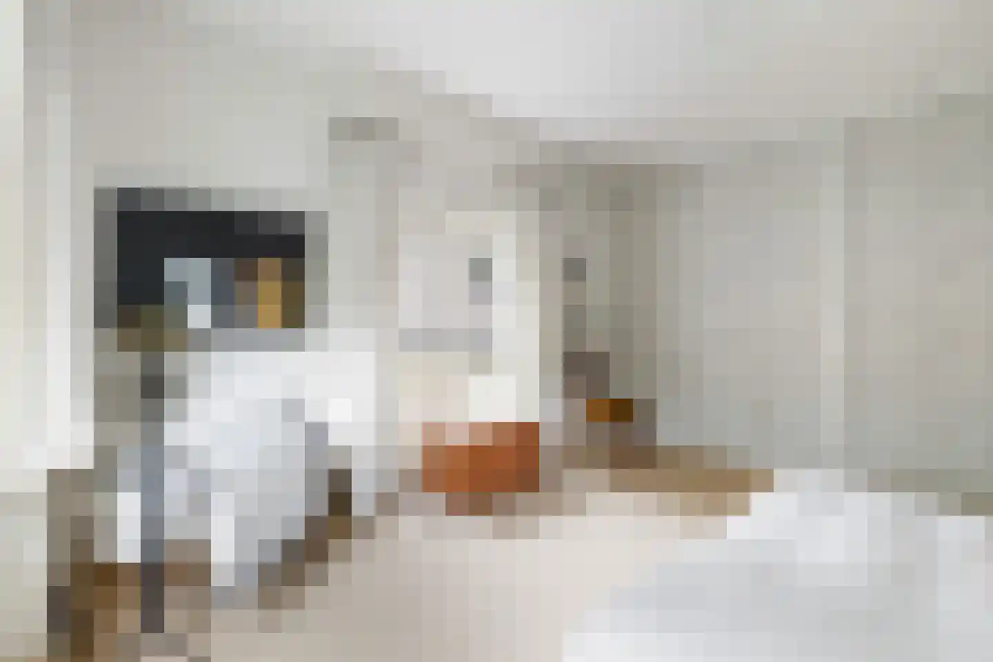 Aristoteleslaan 3 Zeist thumbnail 38