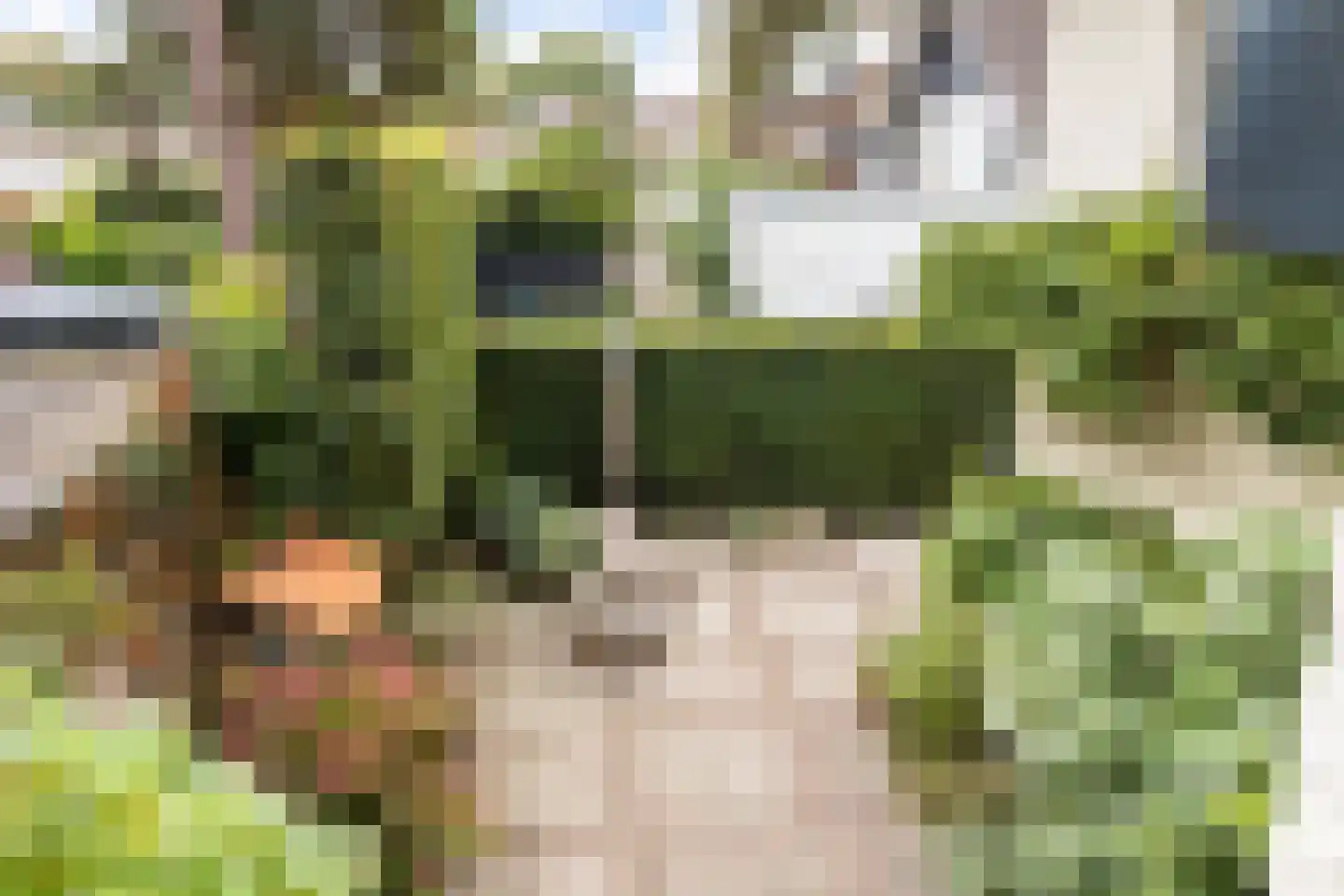 Aristoteleslaan 3 Zeist thumbnail 40