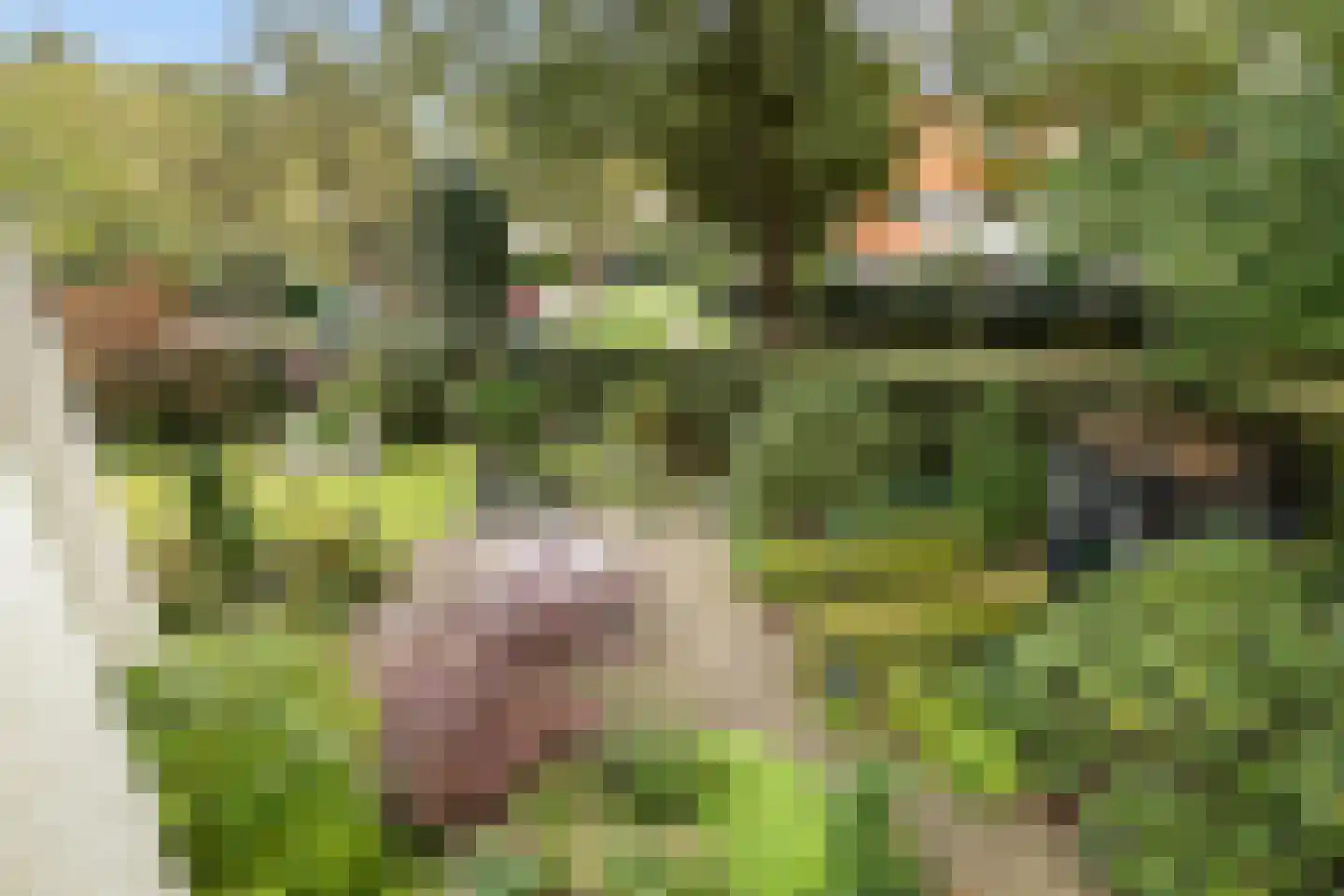 Aristoteleslaan 3 Zeist thumbnail 41