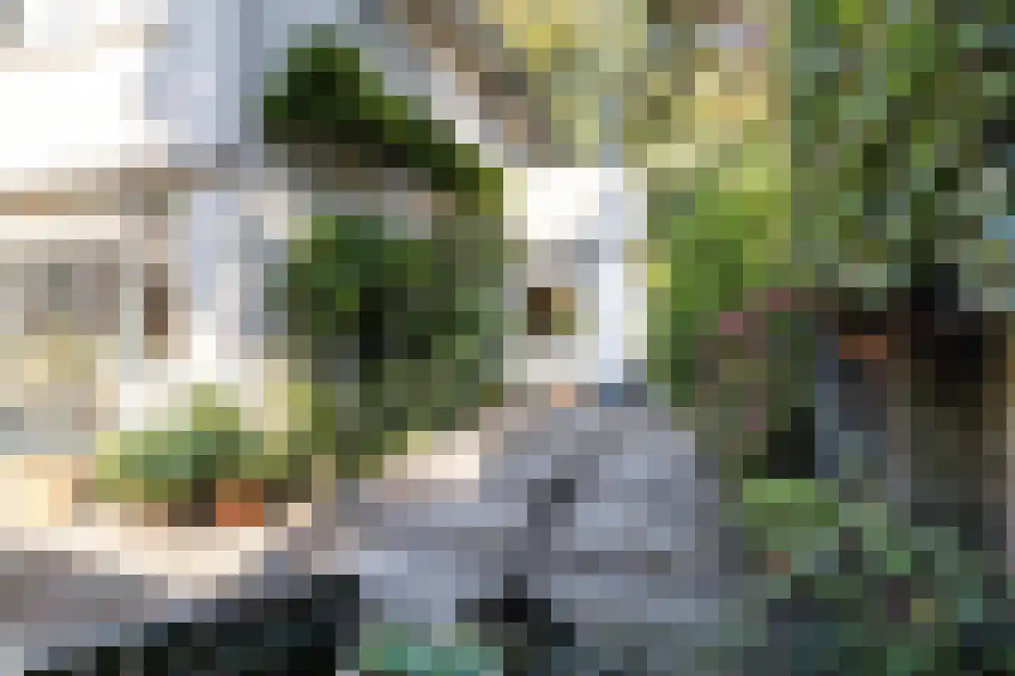 Aristoteleslaan 3 Zeist thumbnail 64