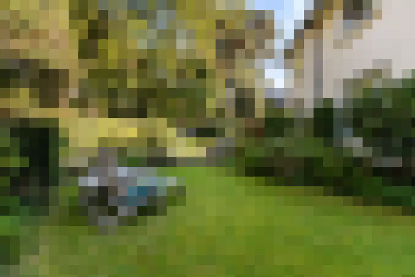 Aristoteleslaan 3 Zeist thumbnail 68
