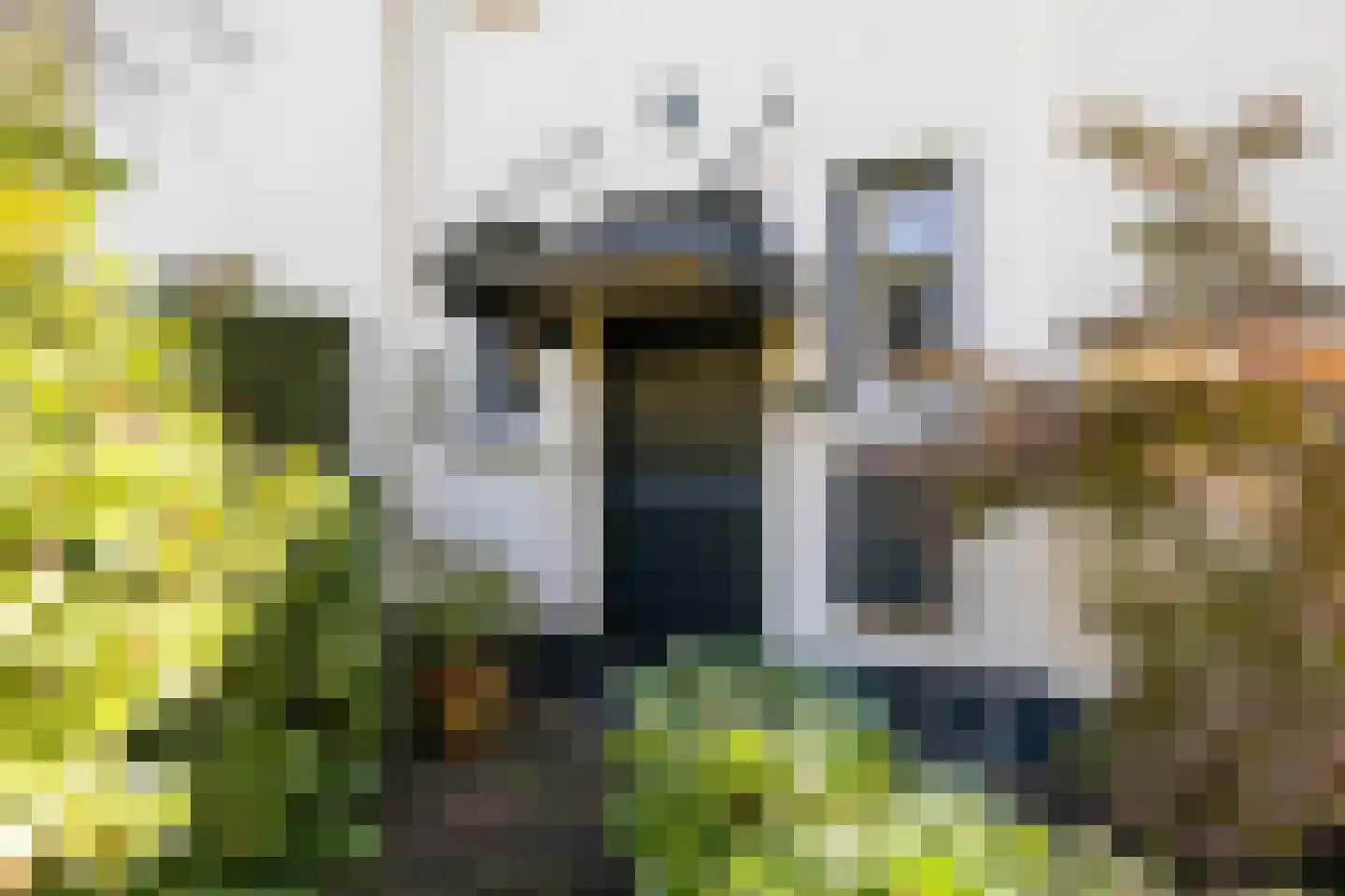 Aristoteleslaan 3 Zeist thumbnail 7
