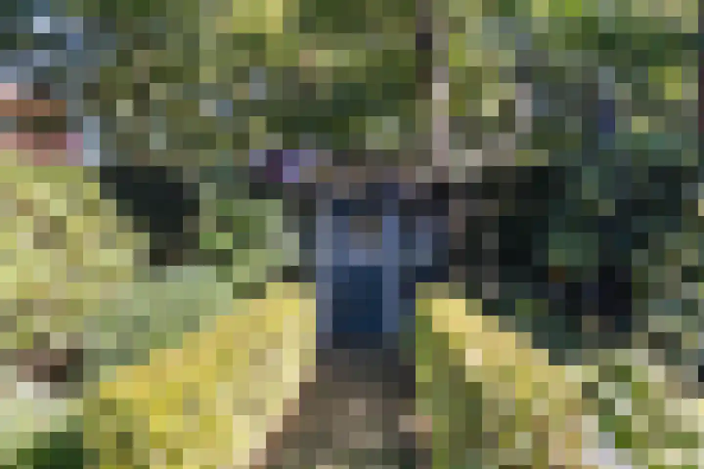 Aristoteleslaan 3 Zeist thumbnail 74