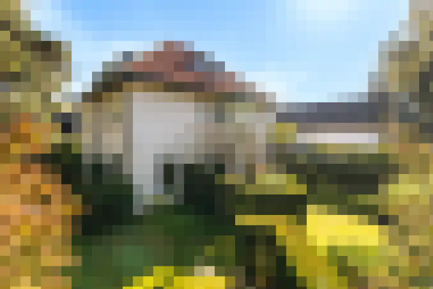 Aristoteleslaan 3 Zeist thumbnail 76