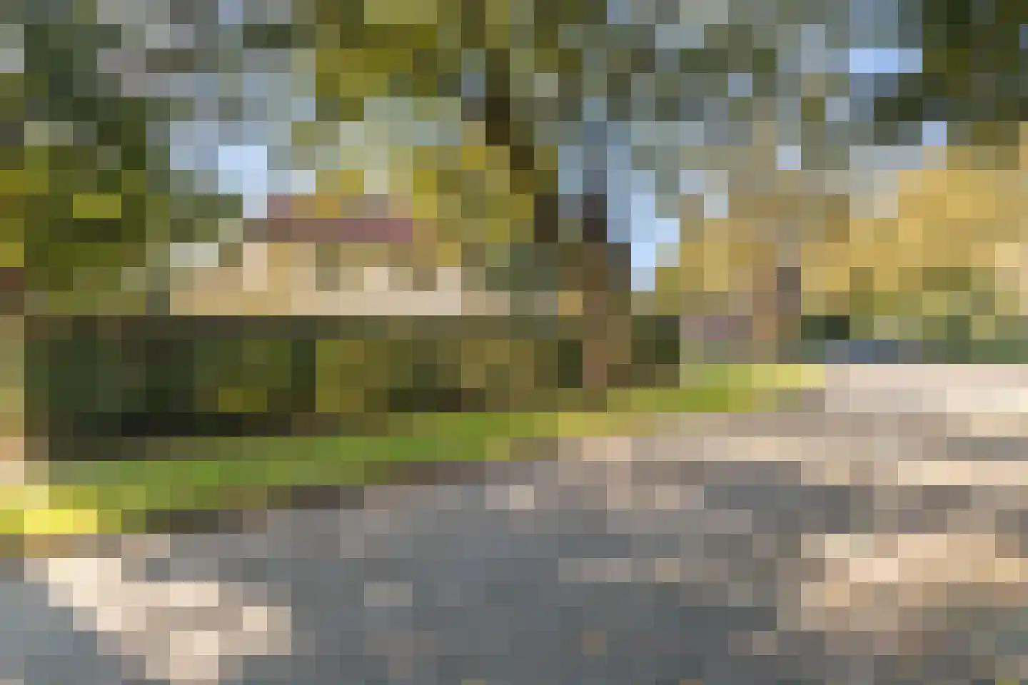 Aristoteleslaan 3 Zeist thumbnail 78