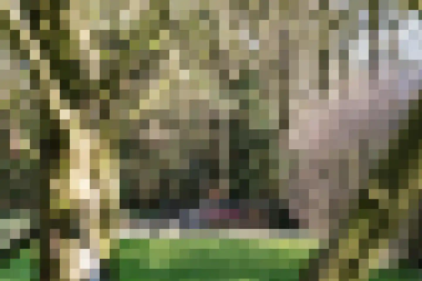 Aristoteleslaan 38 Zeist thumbnail 37