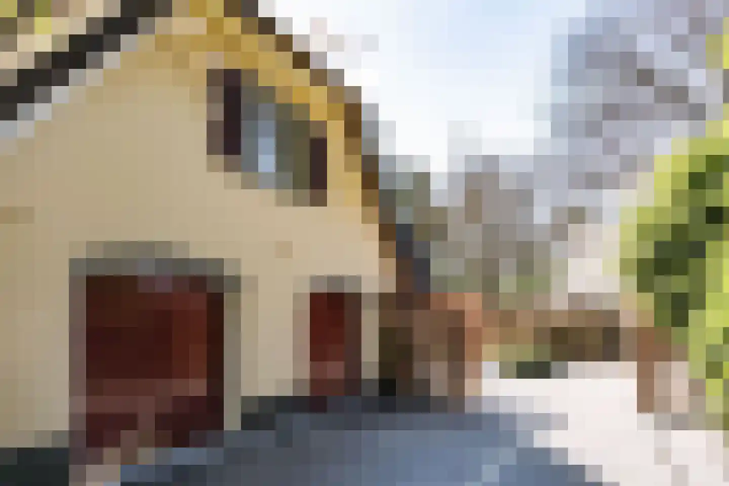 Aristoteleslaan 38 Zeist thumbnail 39
