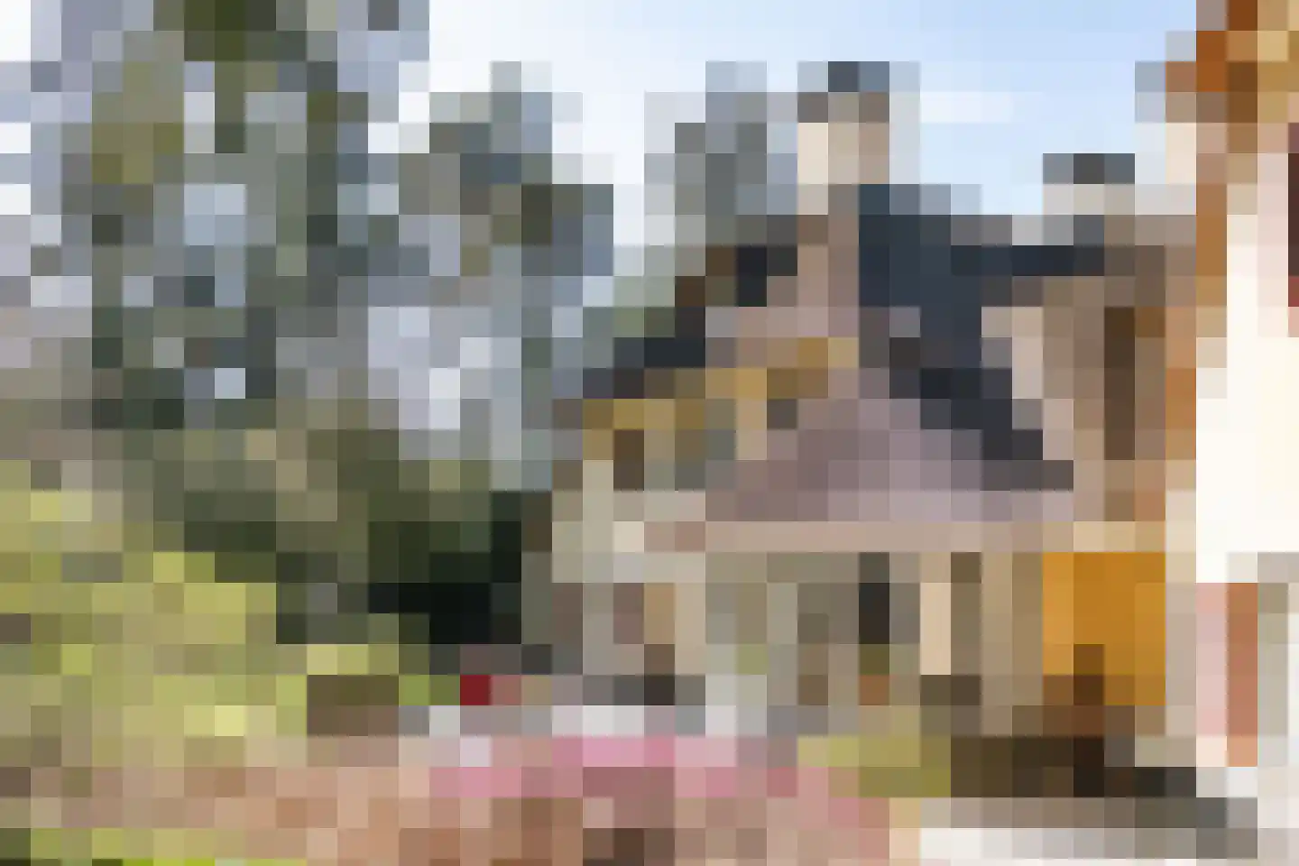 Aristoteleslaan 38 Zeist thumbnail 5