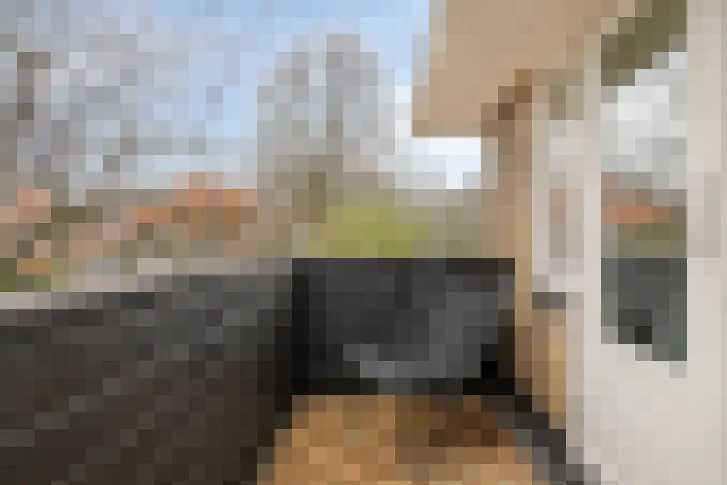 Aristoteleslaan 49 Zeist thumbnail 32