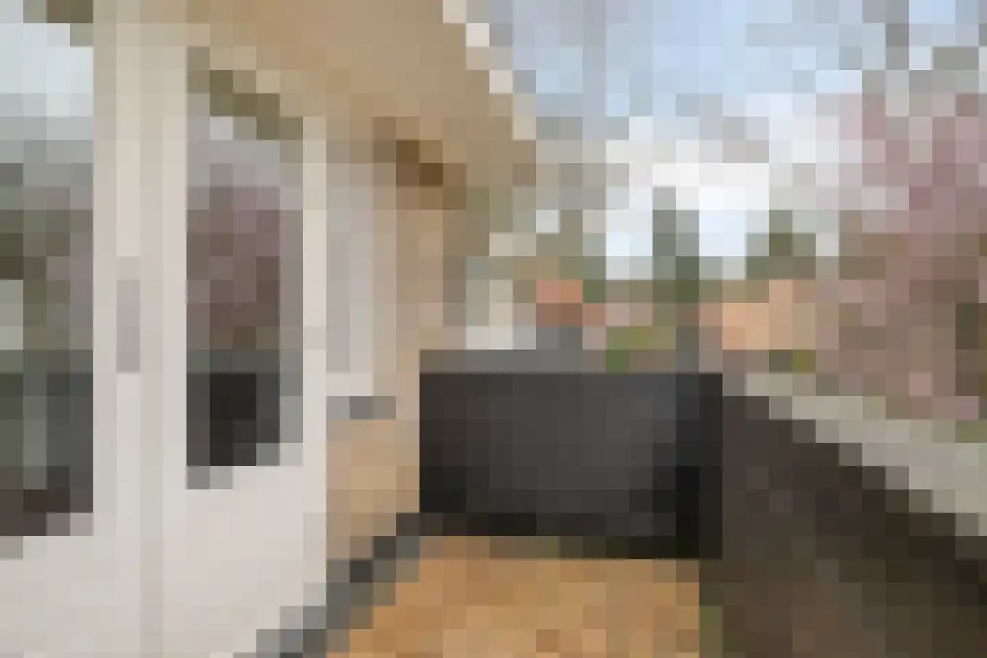Aristoteleslaan 49 Zeist thumbnail 33