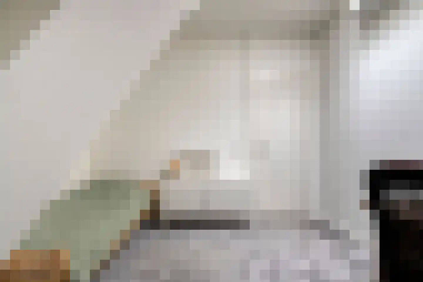 Aristoteleslaan 49 Zeist thumbnail 48