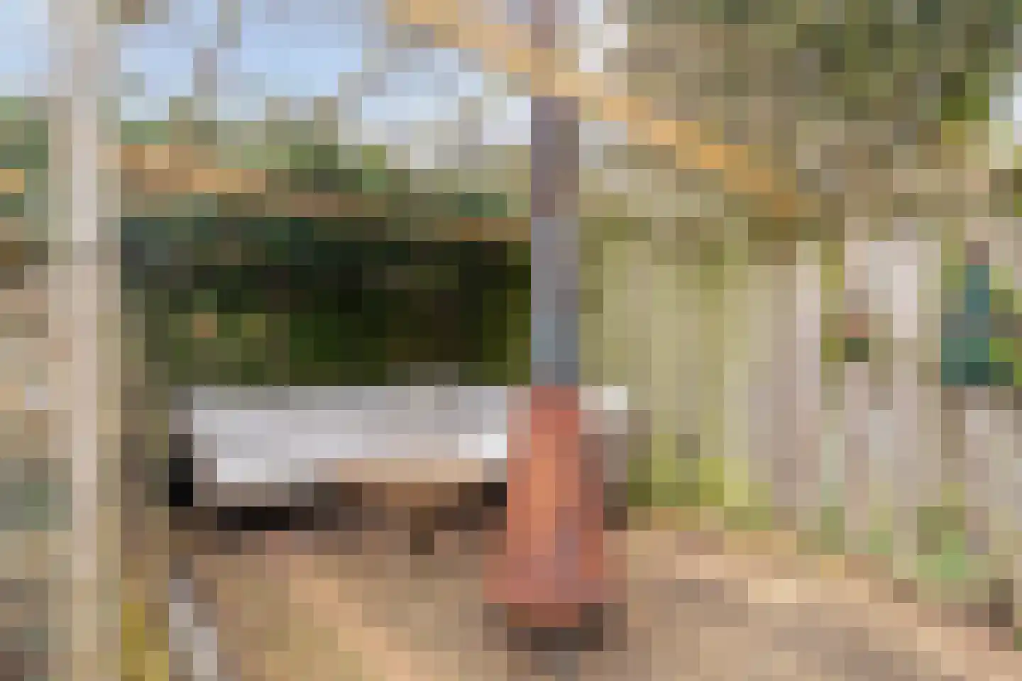 Aristoteleslaan 49 Zeist thumbnail 59