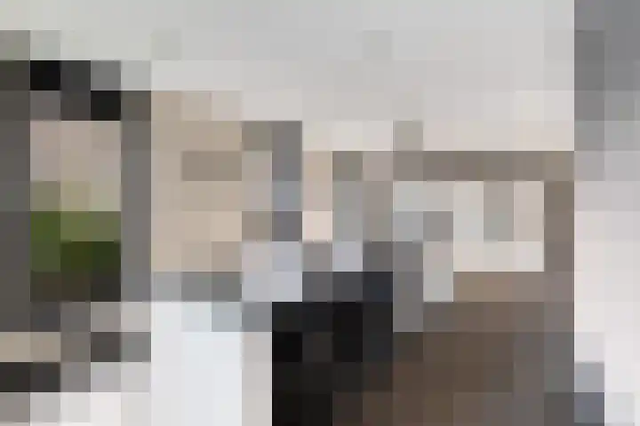 Aristoteleslaan 50 Alphen aan den Rijn thumbnail 30