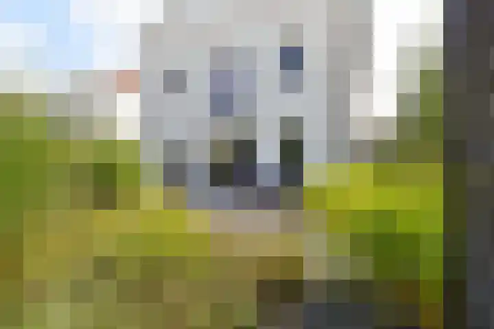Aristoteleslaan 50 Alphen aan den Rijn thumbnail 58